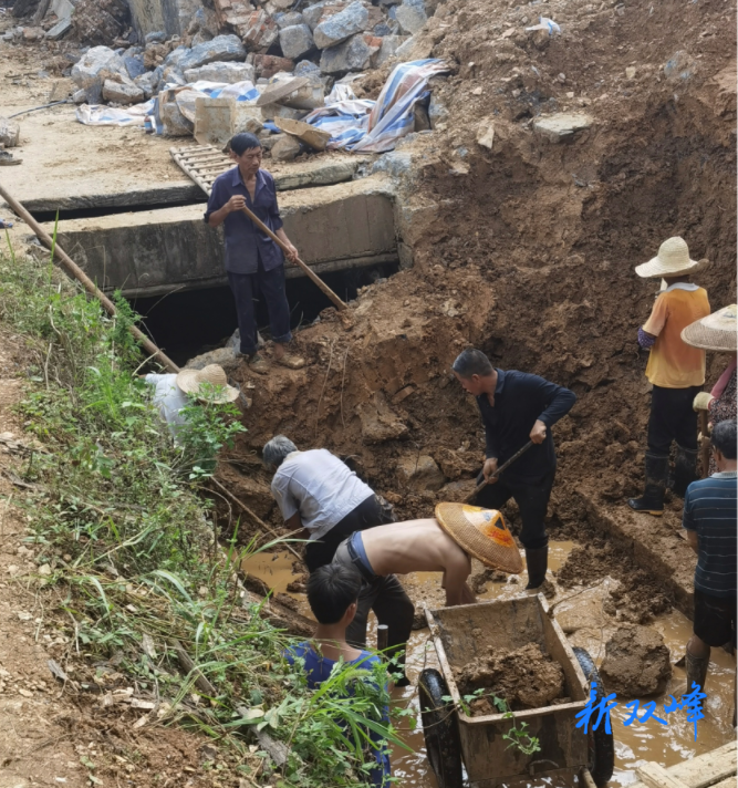 走马街镇：干群齐心抗旱