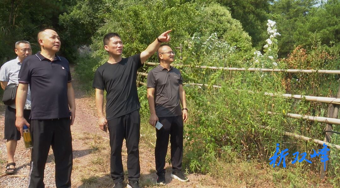县领导带队到猪婆山林场、黄龙林场等地开展巡林工作