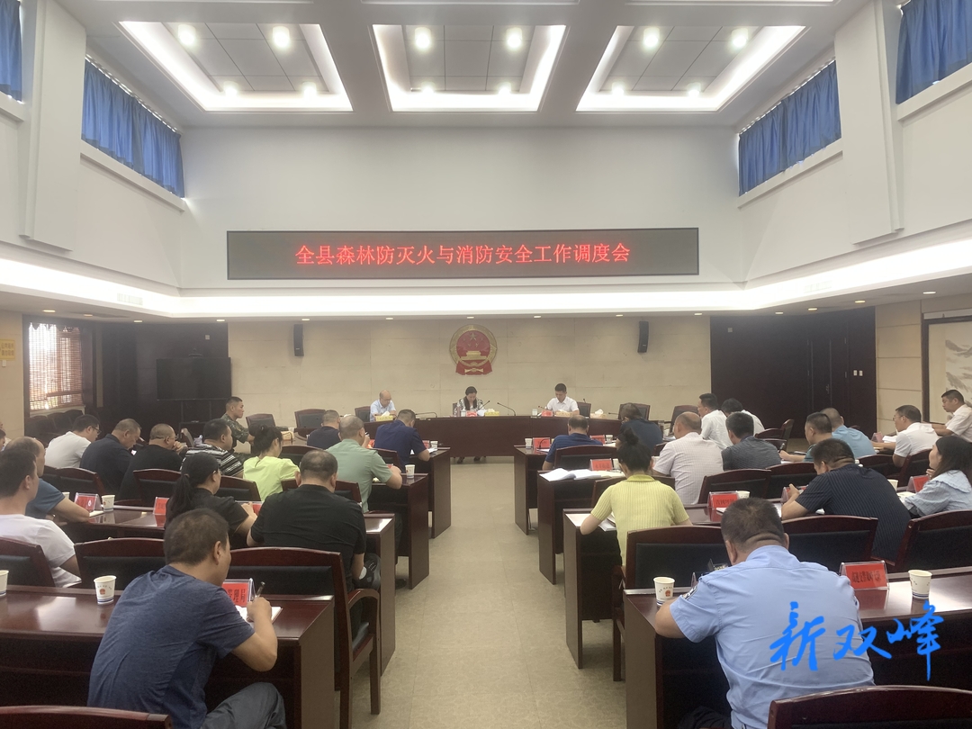 陈卫红调度森林防灭火与消防安全工作
