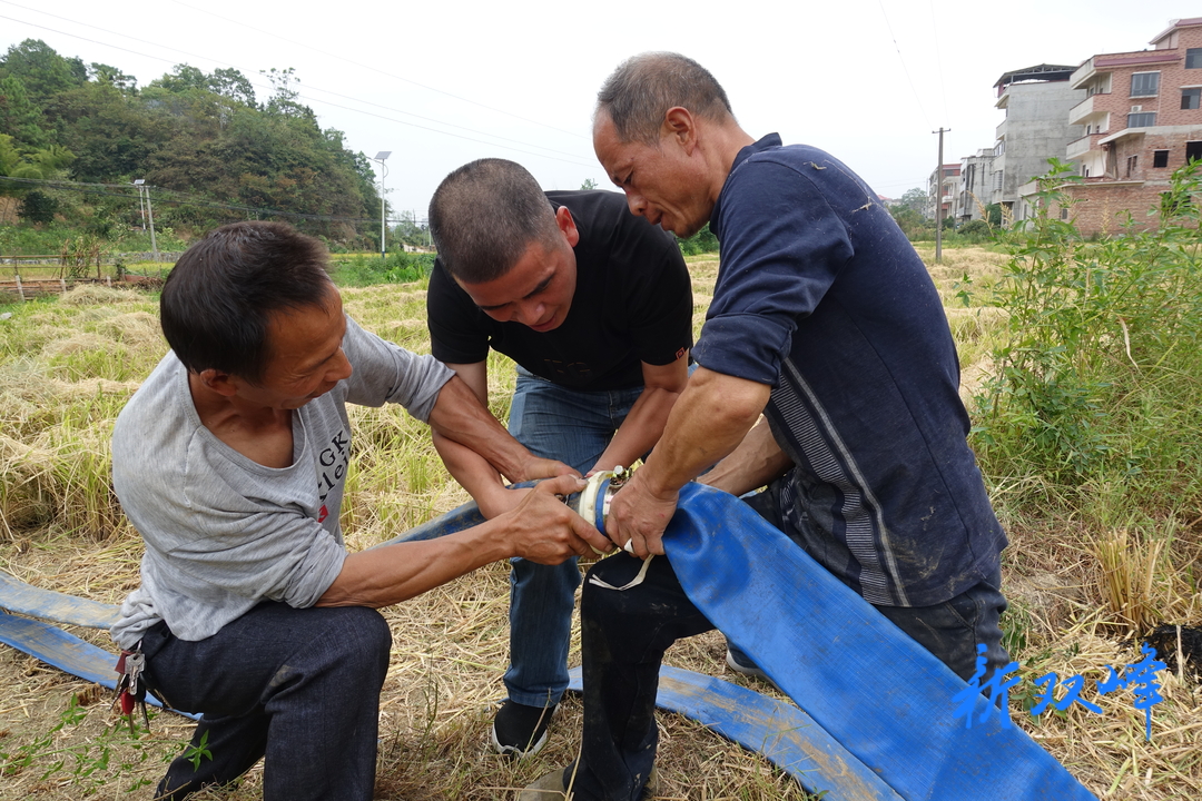 花门镇：打好持久抗旱攻坚战