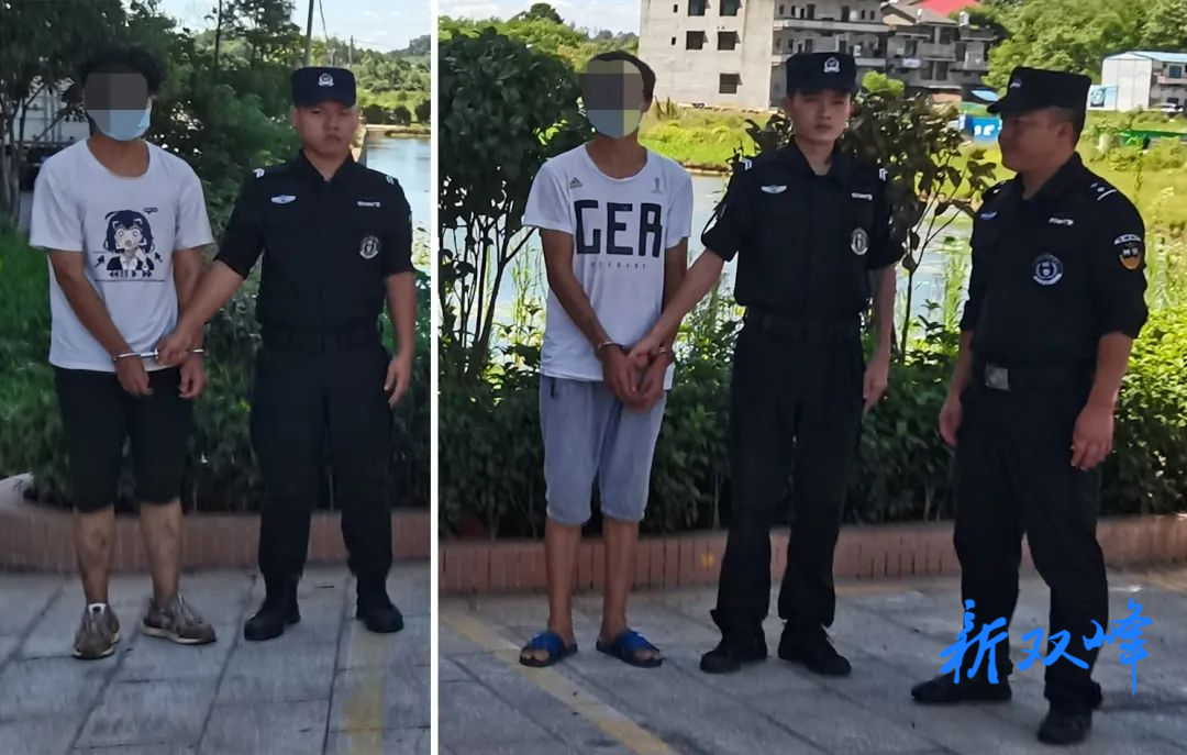 【夏季治安打击整治“百日行动”】疯狂砸车20余辆，民警抓获2名盗窃犯罪嫌疑人