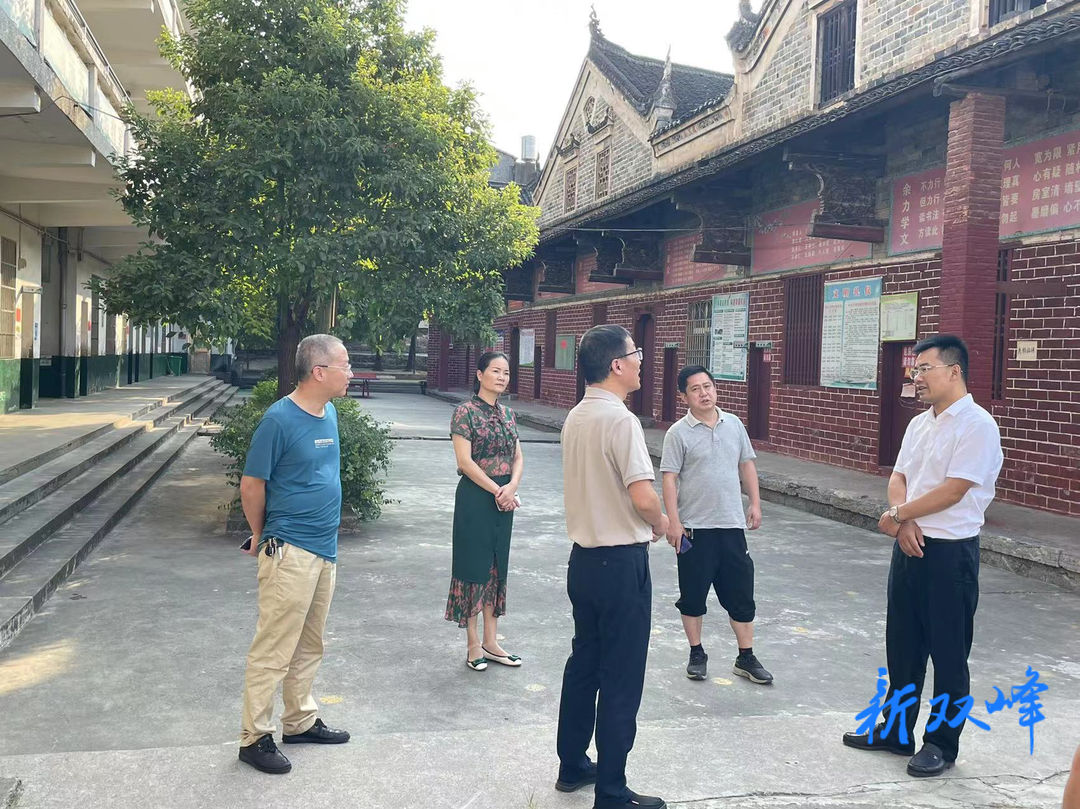 吴晔赴乡镇调研指导文物保护工作