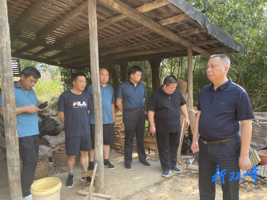 彭石清到鄉鎮調研指導農村人居環境整治提升和抗旱減災工作并督查安全風險隱患排查整治工作