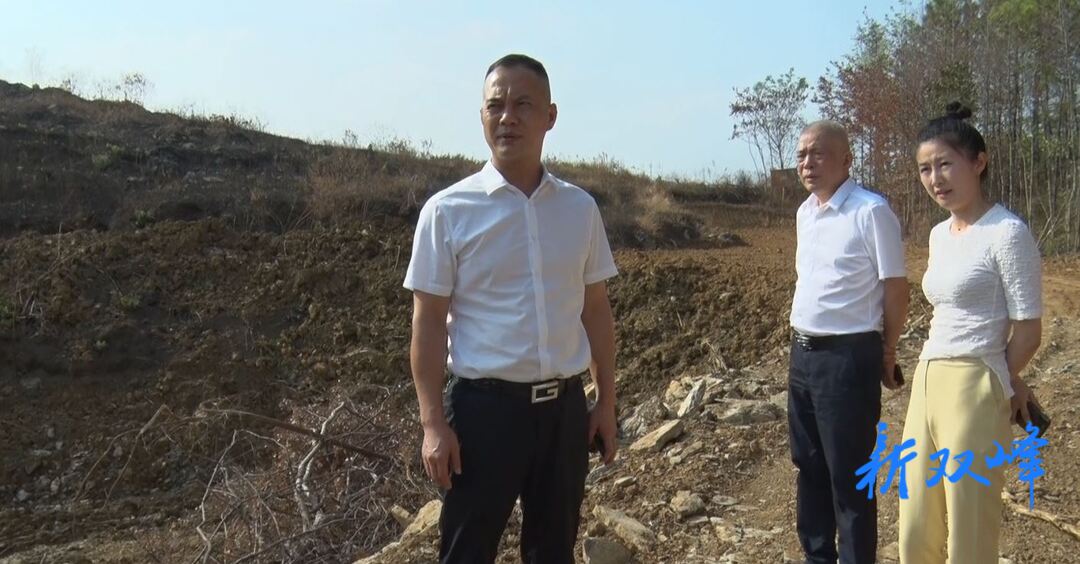 县领导到洪山殿镇开展巡林工作