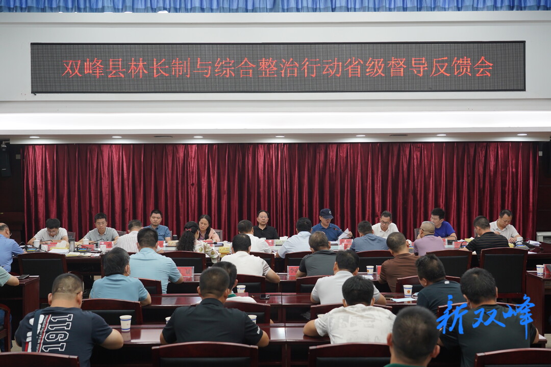 省督導組來雙峰督導林長制與綜合整治行動工作