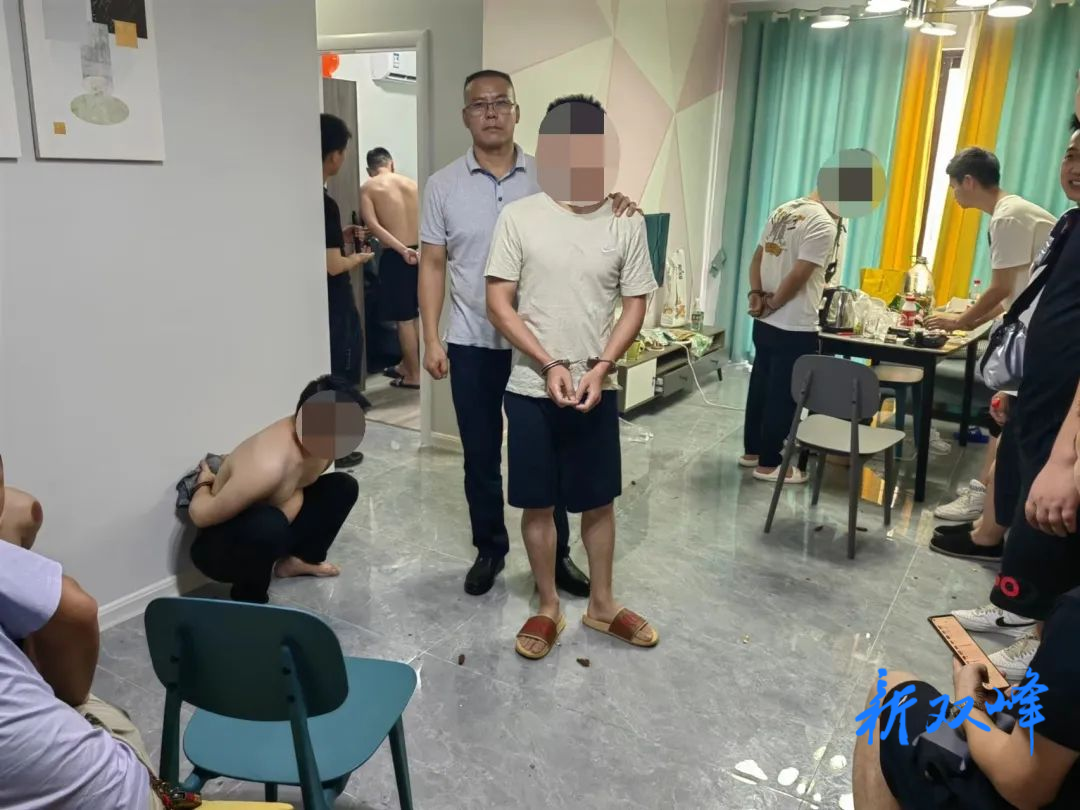 迎接二十大 | 【夏季治安打击整治“百日行动”】再添战绩！双峰公安连续打掉4个电诈团伙，抓获40名嫌疑人