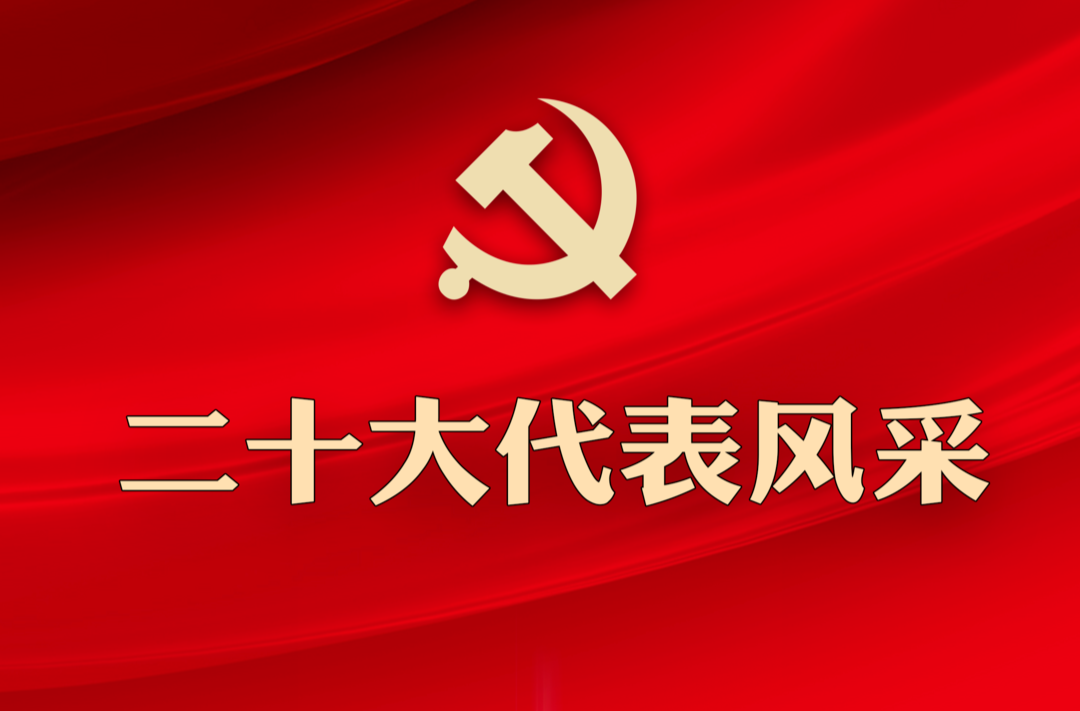 二十大代表風采