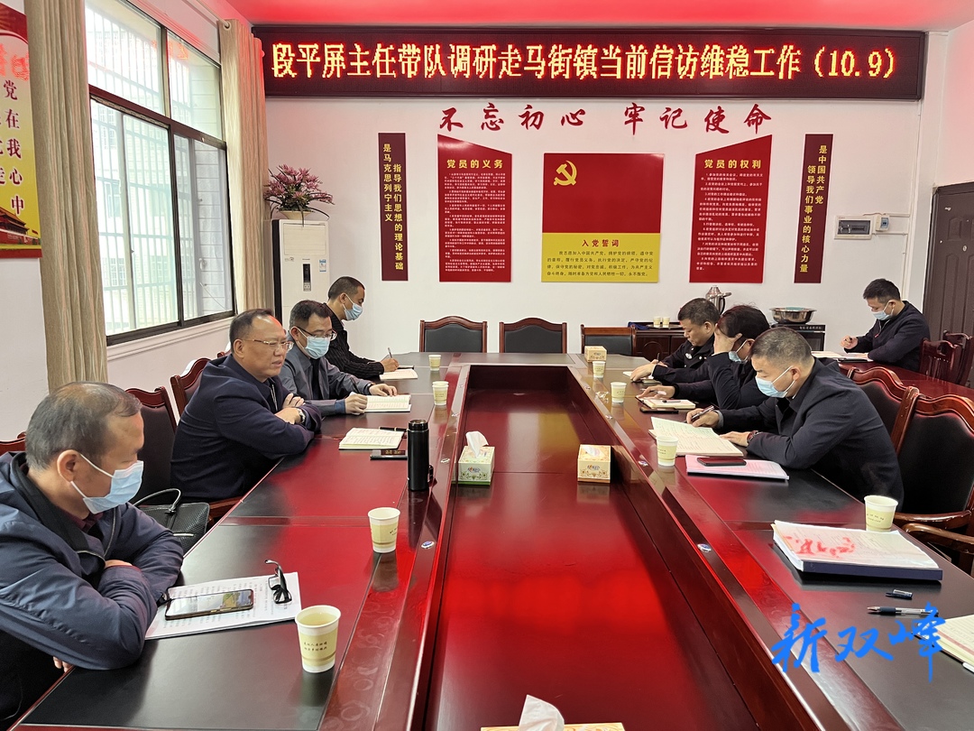 段平屏调研信访维稳安保工作和人大代表联系群众工作站建设