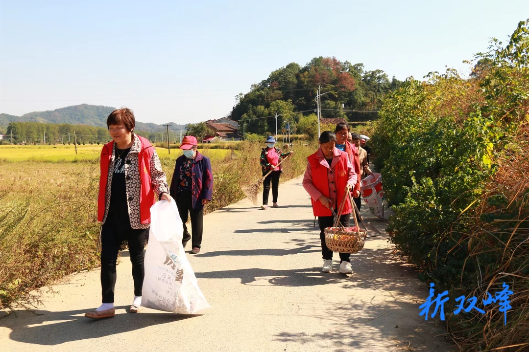 荷叶镇：新时代文明实践站志愿服务分队开展环境卫生整治