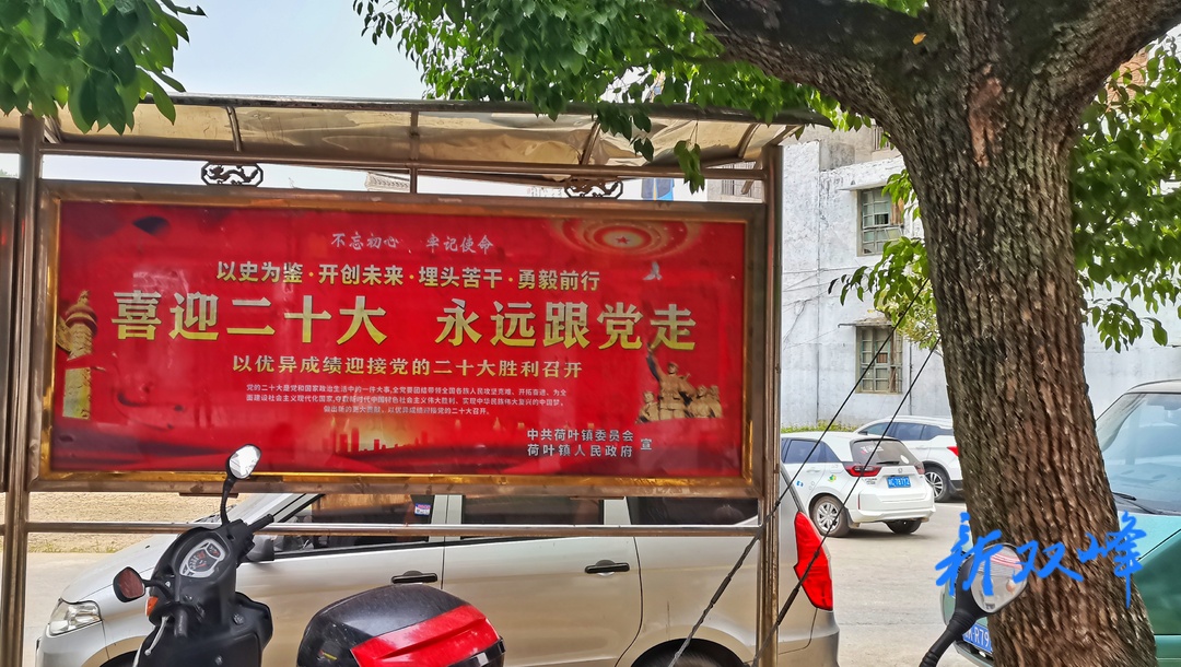 荷叶镇喜迎二十大和国庆假期社会宣传氛围浓