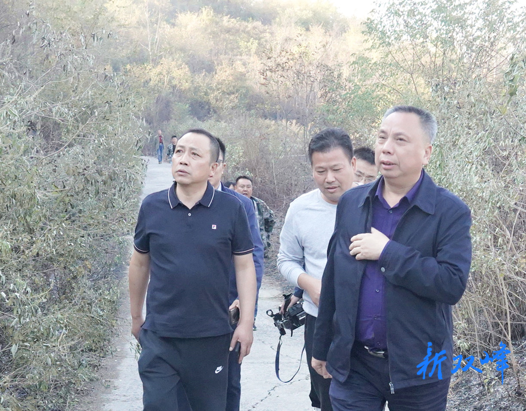彭石清督查森林防灭火工作：守住山、看住人、管住火  牢牢守住森林防灭火安全红线