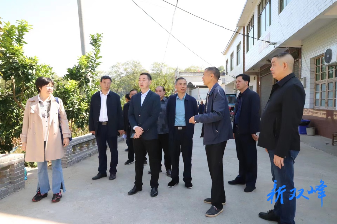 市领导到荷叶镇示范片区调研乡村振兴工作