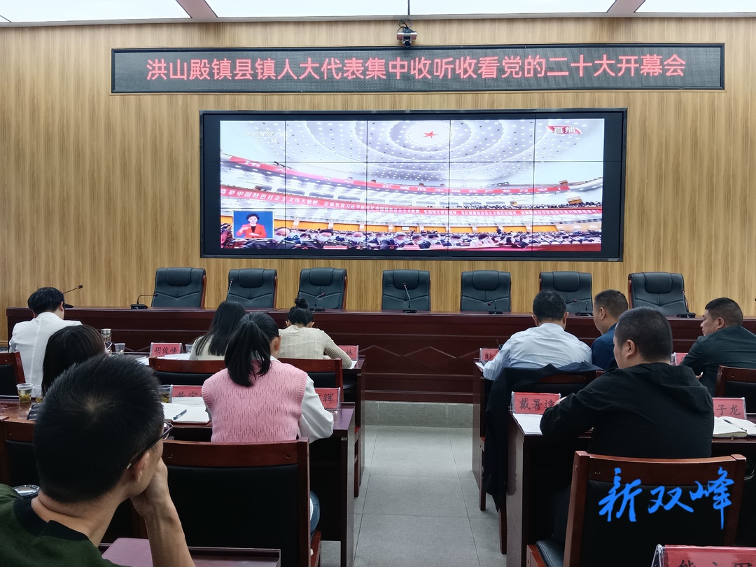 二十大时光丨洪山殿镇组织党员干部集中收看党的二十大开幕会