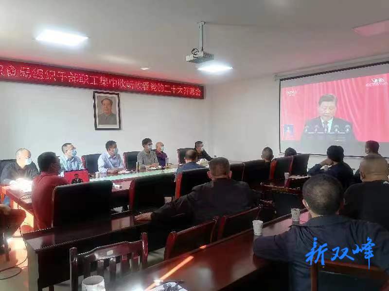 二十大时光丨双峰县商务粮食局组织集中收听收看党的二十大开幕会并开展学习讨论