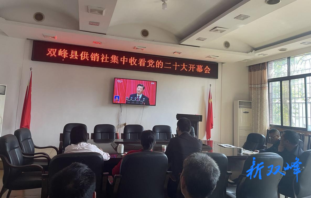 二十大时光 | 奋斗新征程 扬帆再起航 ——双峰县供销系统学习党的二十大报告