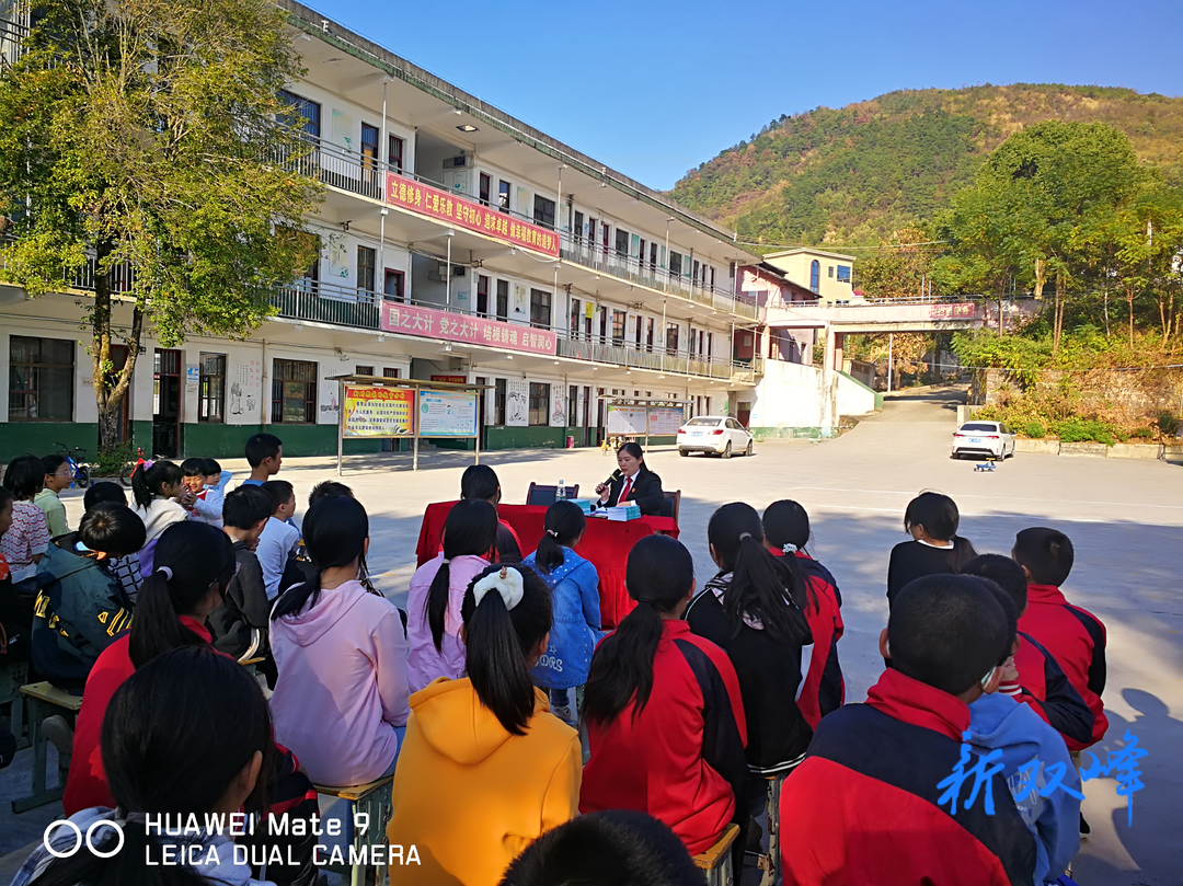 县人民法院：树荫之下普法课  祖国花儿向阳开