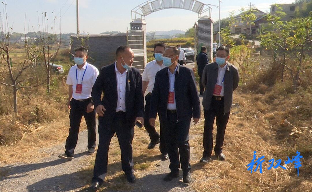 娄底市第六届人大代表双峰县第七小组到甘棠镇开展调研活动