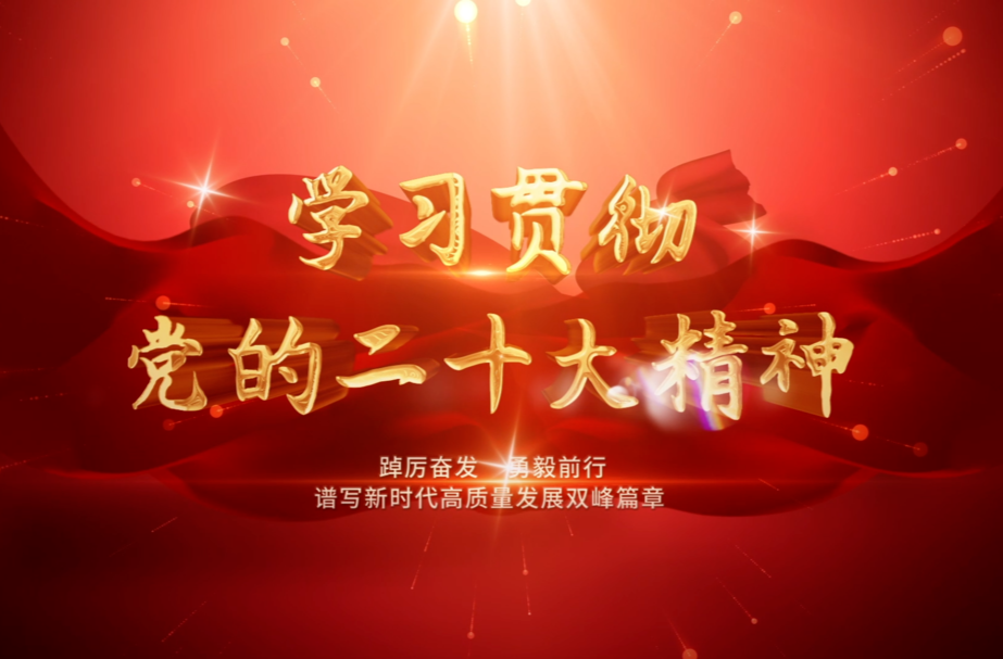 学习贯彻党的二十大精神：李基联主持召开县人民政府党组2022年第13次会议