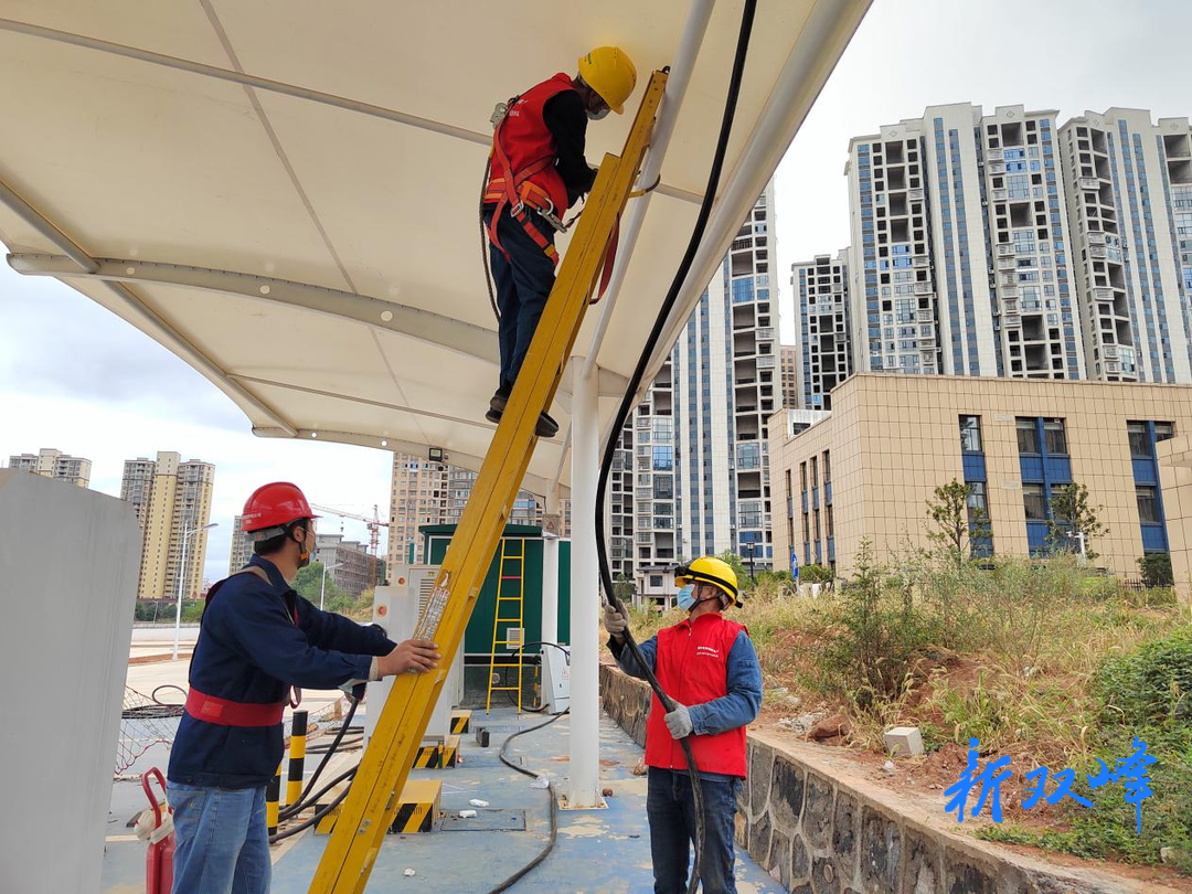國網雙峰供電冒雨奮戰，3小時為方艙實驗室通電