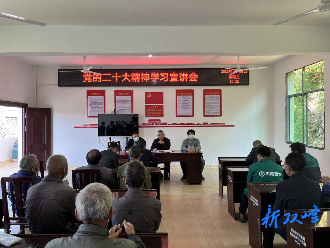 县委宣传部到荷叶镇益新村开展党的二十大精神微宣讲