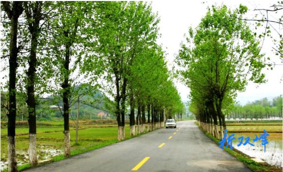 双峰县全力打造畅安农村公路