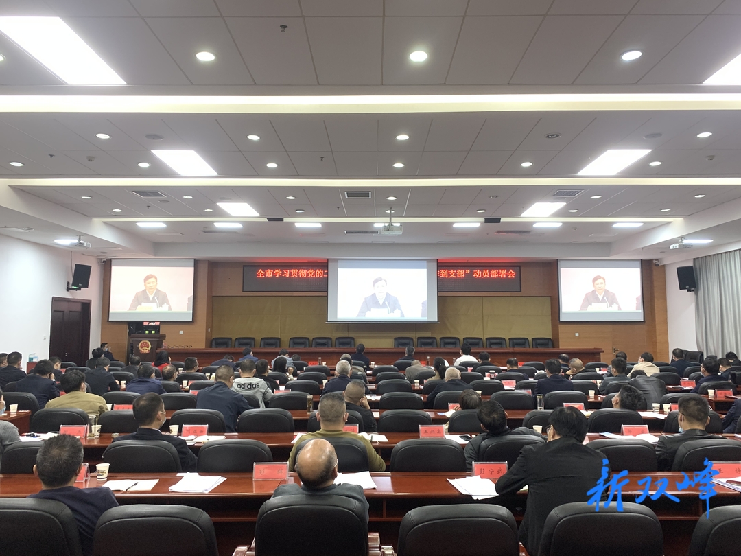 婁底市召開學習貫徹黨的二十大精神全面推進“一切工作到支部”動員部署會 彭石清、李基聯等在雙峰分會場參加會議