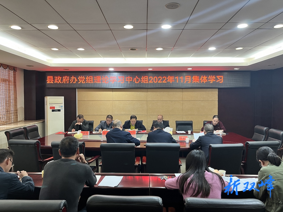 縣政府辦黨組理論學習中心組舉行2022年11月集體學習會議