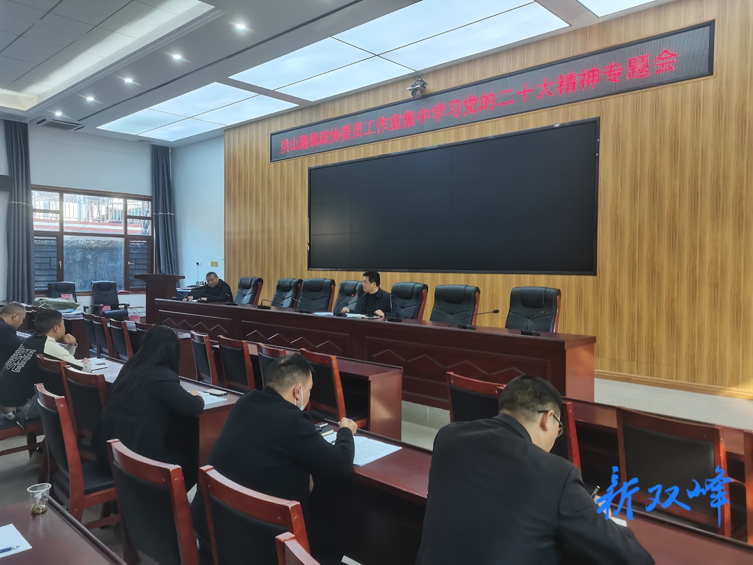 学习贯彻党的二十大精神 | 洪山殿镇政协委员工作室集中学习贯彻党的二十大精神