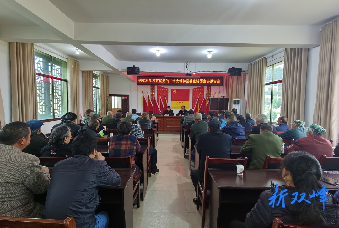 学习贯彻党的二十大精神 | 双峰县政策研究中心开展“学习二十大 奋进新征程”主题党日活动