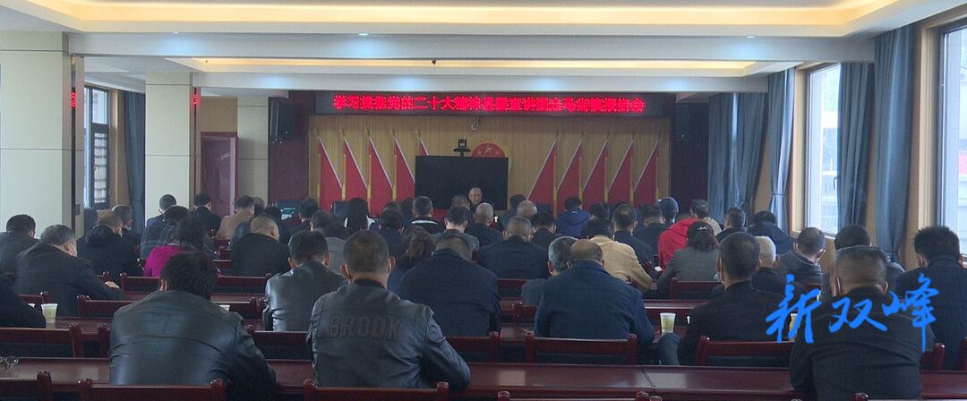 段平屏到走马街镇宣讲党的二十大精神