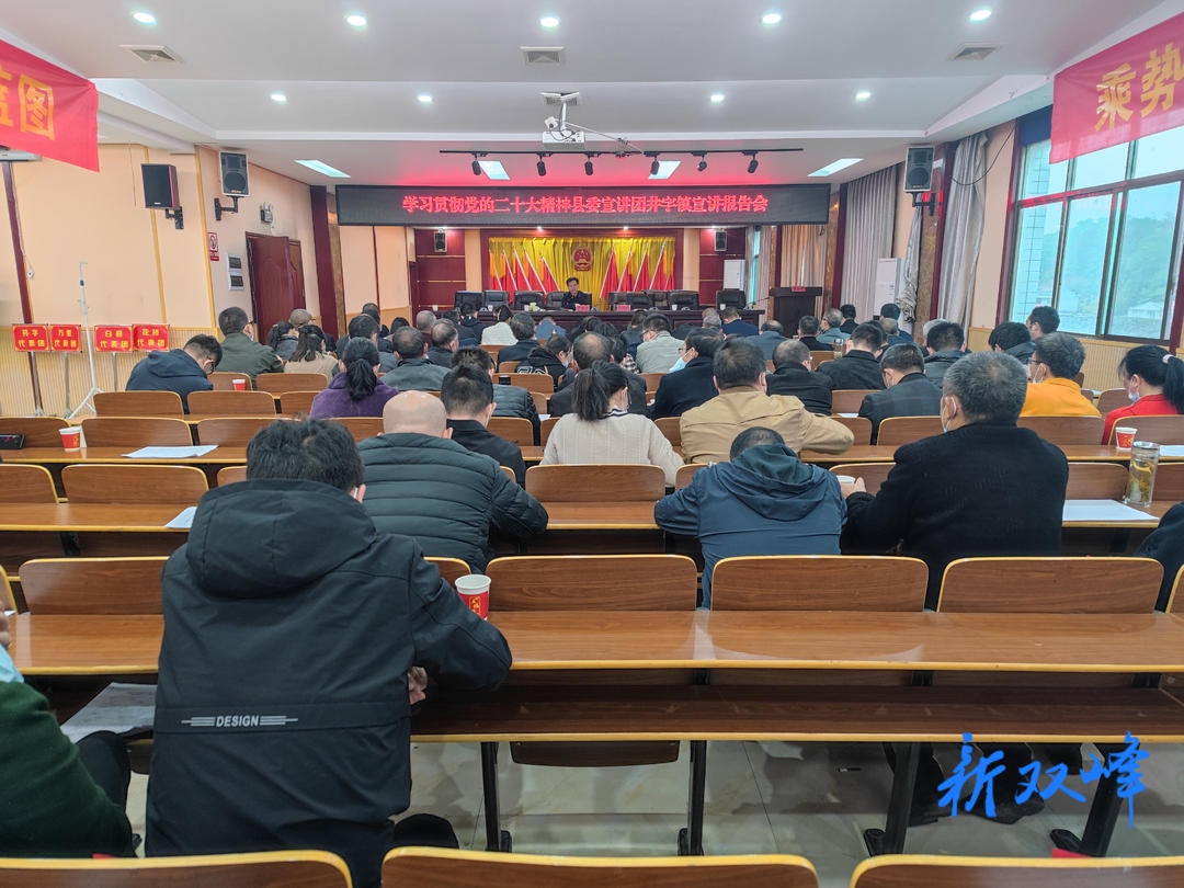 李双红到井字镇宣讲党的二十大精神