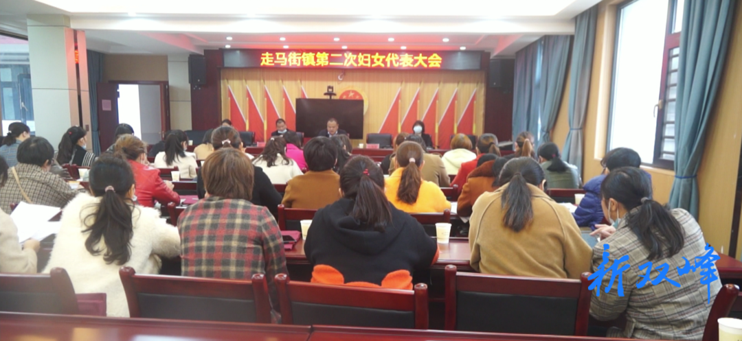 走马街镇圆满完成妇联换届选举工作