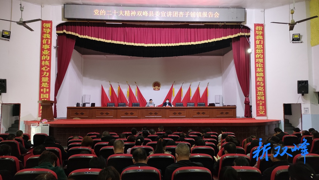 陈卫红到杏子铺镇宣讲党的二十大精神