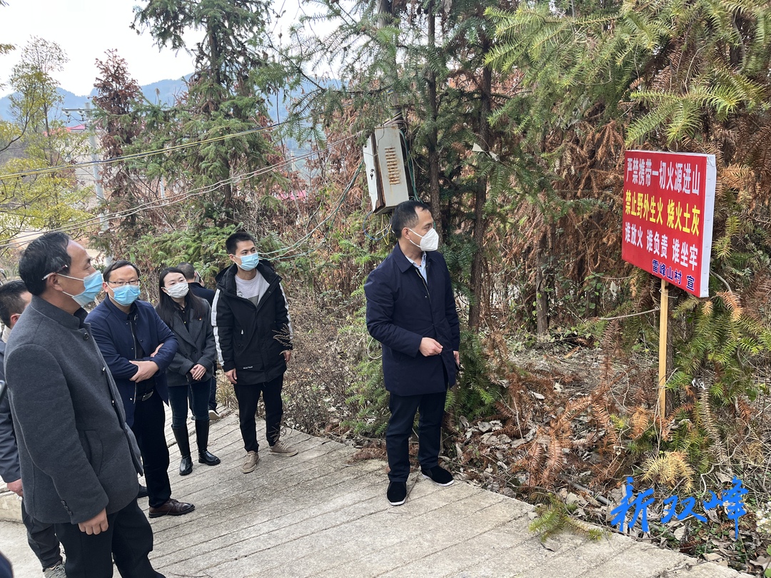 县领导到洪山殿镇开展巡林工作