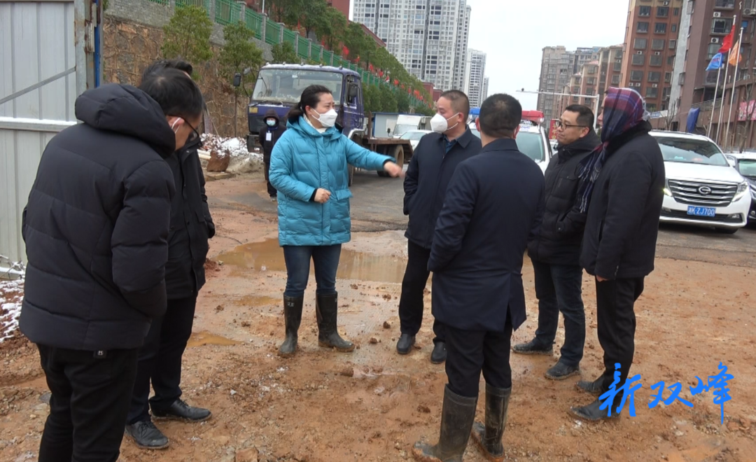 陈卫红现场调度双峰县电力项目建设用地范围集中清表腾地工作