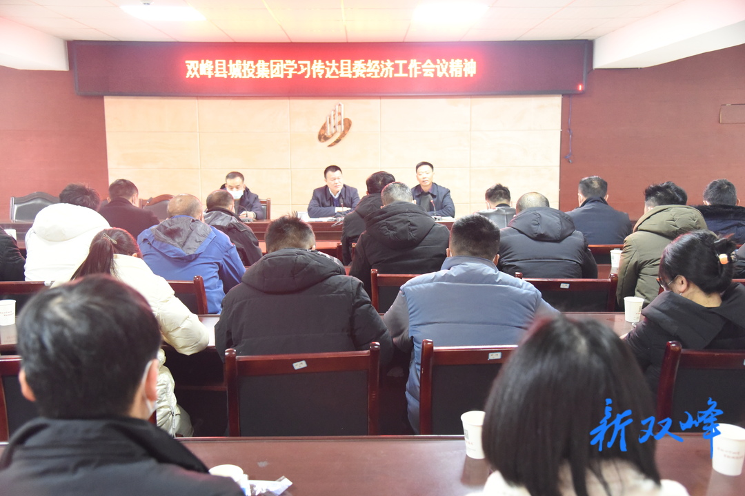 双峰县城投集团传达学习县委经济工作会议精神