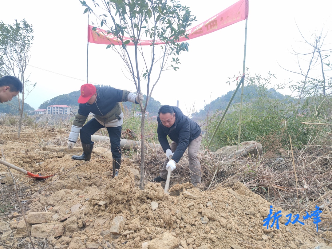 洪山殿镇：义务植树添绿 建设美丽乡镇