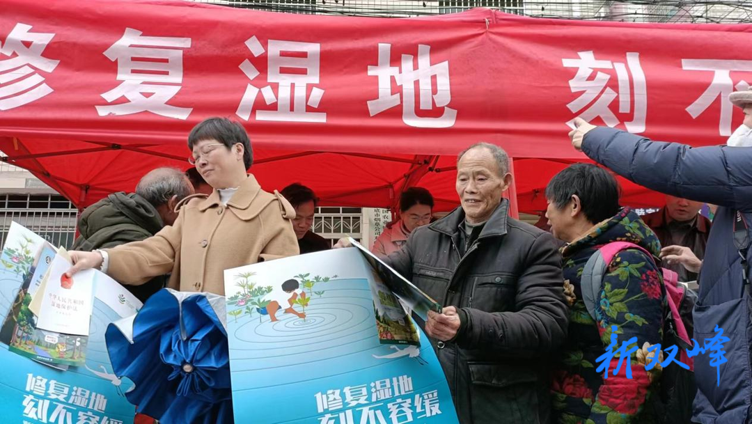 杏子铺镇：爱护湿地 筑牢生态屏障
