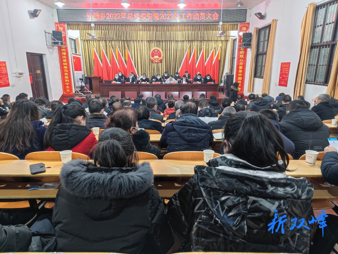 沙塘乡召开2022年总结表彰暨2023年工作动员大会