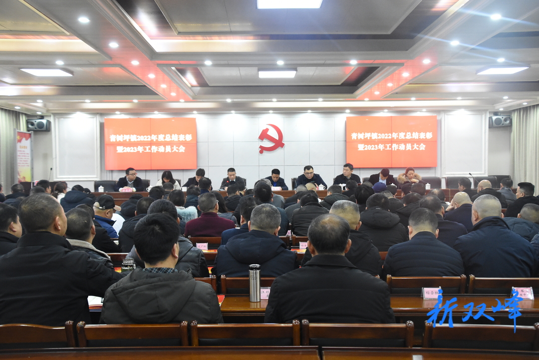 青树坪镇召开2022年总结表彰暨2023年工作动员大会