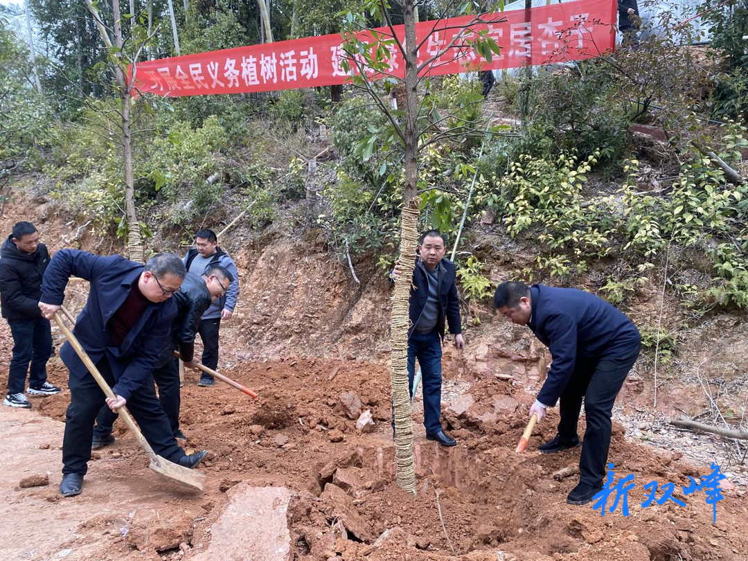 水府庙国家湿地公园：念好“三字诀” 全力推进春季造林绿化工作