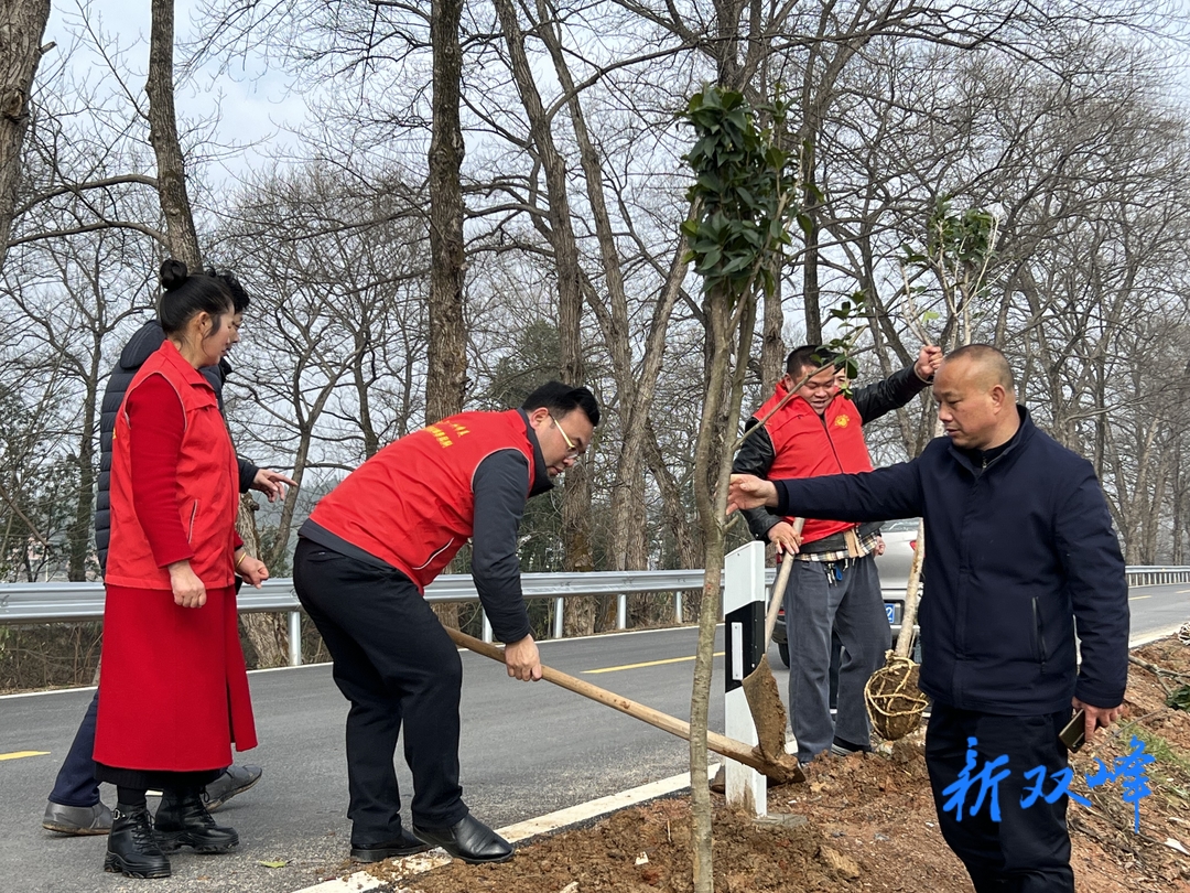 荷叶镇“和森红”志愿服务者开展义务植树活动