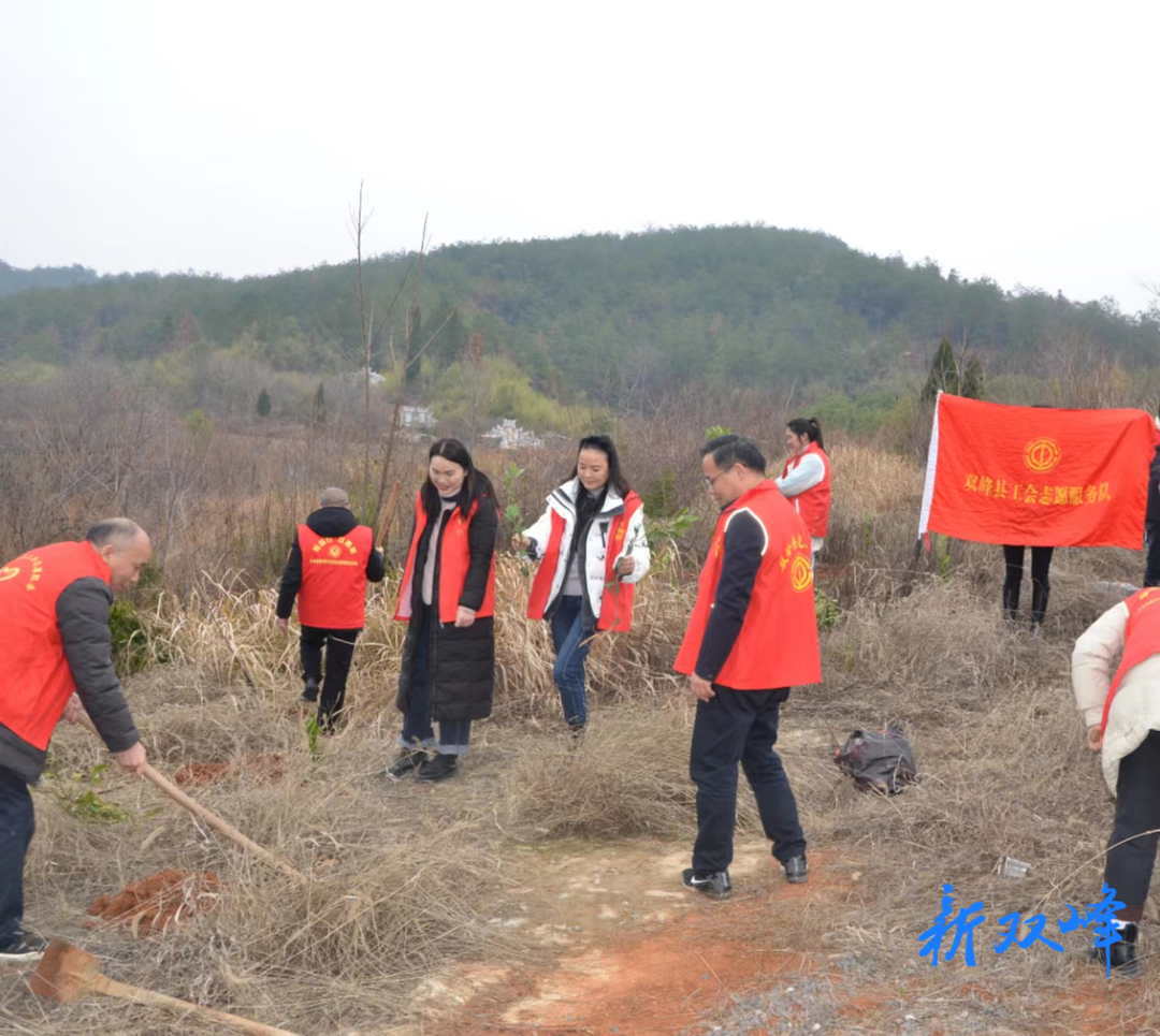 双峰县总工会开展义务植树主题党日活动