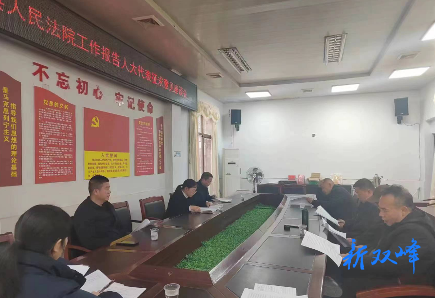 双峰县人民法院积极征求人大代表对法院工作报告意见建议