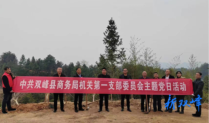 双峰县商务局开展“植树造绿，助力乡村振兴”主题党日活动