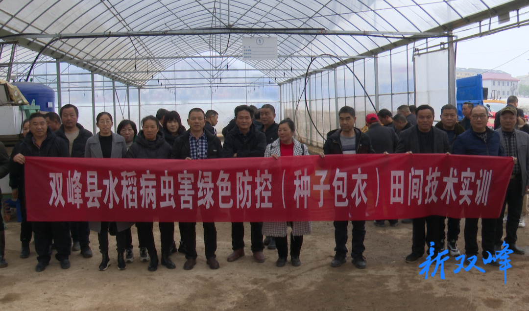 双峰举办水稻病虫害绿色防控技术现场观摩培训会