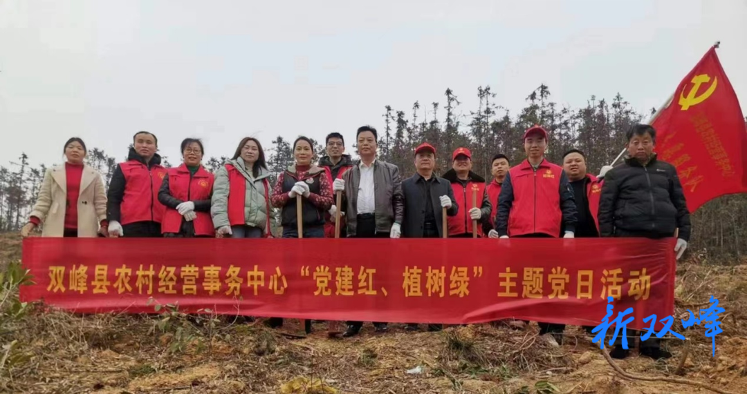 县农村经营事务中心开展“党建红 植树绿”主题党日活动