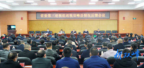 省委第三巡视组向双峰县委反馈巡视情况