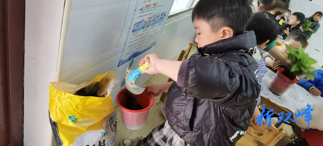 三塘铺镇中心幼儿园开展《沐光而行 向阳生长》劳动教育实践活动