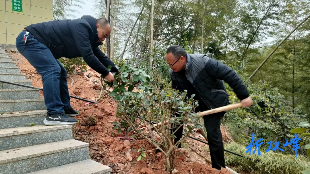 杏子铺镇：以“林长制”促“林长治” 守护绿水青山